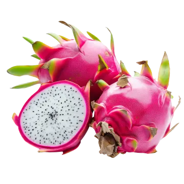 dragon fruit on a white background