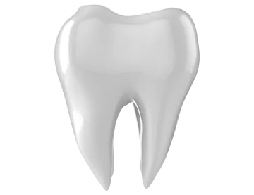 a tooth on a white background