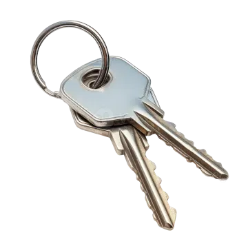a bunch of keys on a white background