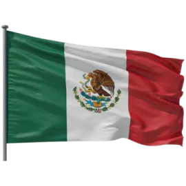 a mexican flag flying in the wind