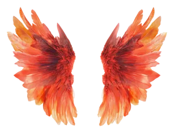 a pair of red and orange feathers