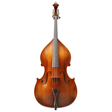 a violin on a white background