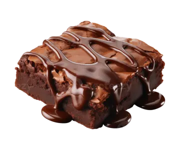 a chocolate brownie with melted chocolate on top