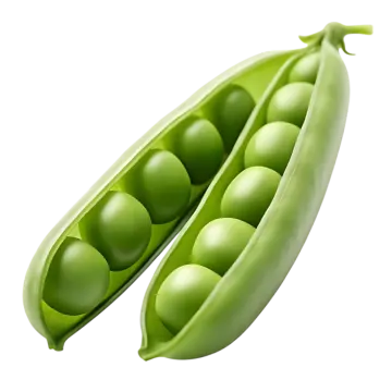 two peas on a white background