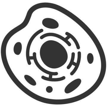 a black and white image of an egg