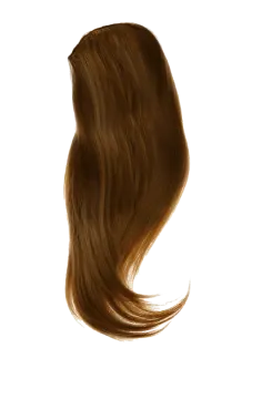 a long brown hair on a white background