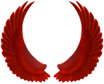 a pair of red wings