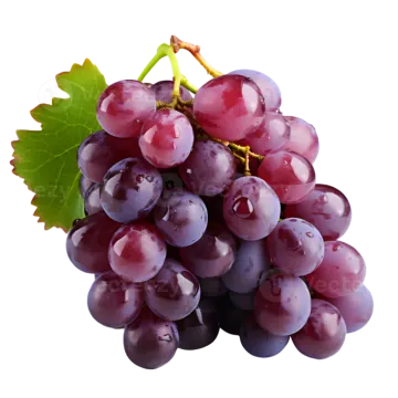 a bunch of grapes on a white background