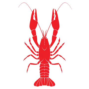 a lobster silhouetted on a white background