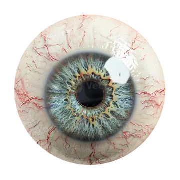 a close up view of an eye