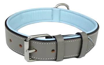 a light blue leather dog collar with white stitching