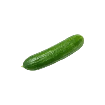 a green pickle on a white background