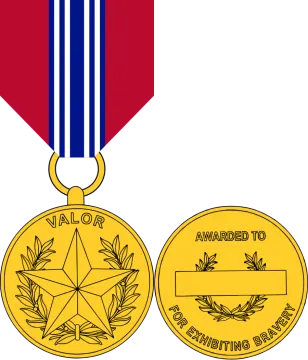 two medals with a red, white and blue ribbon