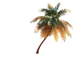 a palm tree on a white background