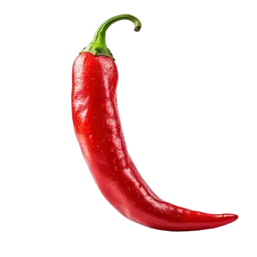 a red chili pepper on a white background
