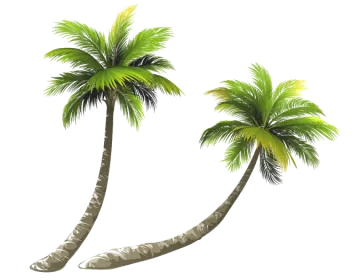 two palm trees on a white background