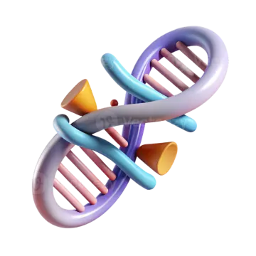 the structure of a dna molecule
