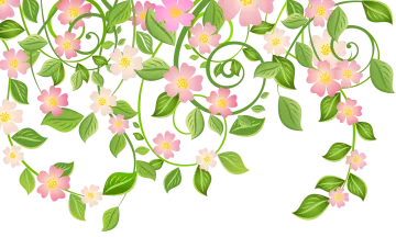 a bunch of pink flowers with green leaves