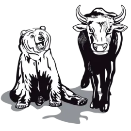 two black and white cows sitting next to each other animals