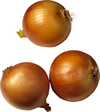 three onions on a white background