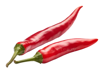 two red peppers on a white background