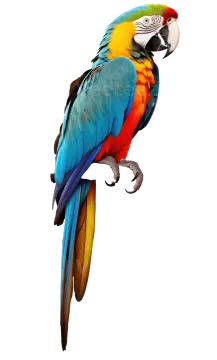 a colorful parrot perched on a branch