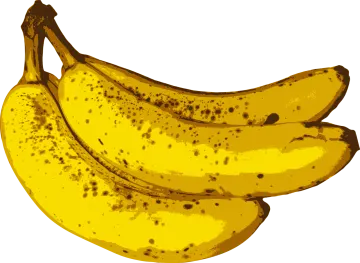 a bunch of bananas