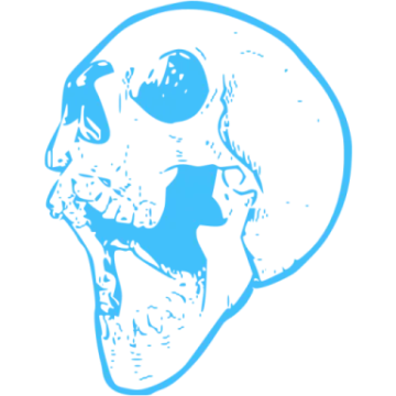 an image of a skull in blue ink