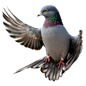 a bird with its wings spread out