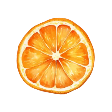 a watercolor painting of an orange slice
