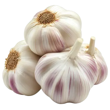three garlic bulbs on a white background