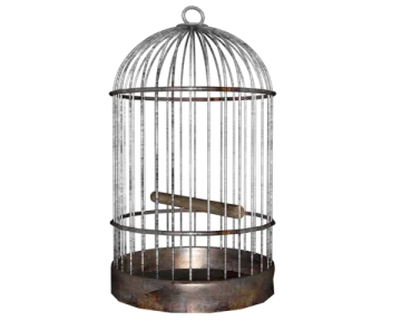 a bird in a cage on a white background