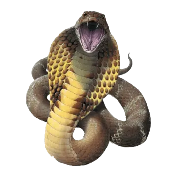 an illustration of a snake with its mouth open