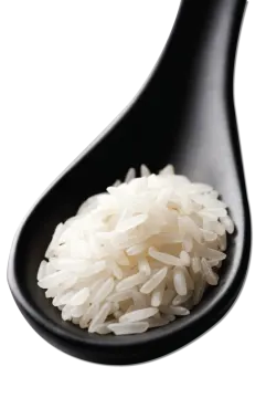 white rice in a black spoon