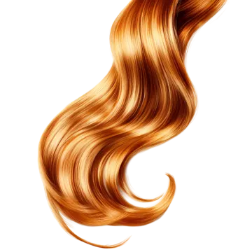 a beautiful long blonde hair with highlights on white background