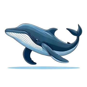 a whale jumping out of the water
