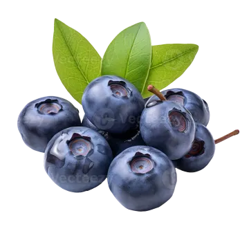 blueberries with leaves on a white background