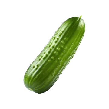 a cuce on a white background
