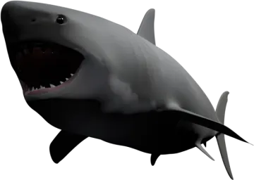 a great white shark with its mouth open