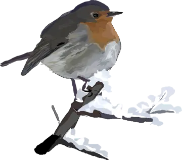 a bird sitting on top of a branch