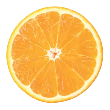 an orange slice on a white background