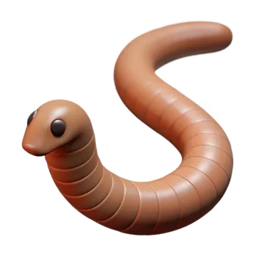 a brown worm on a white background