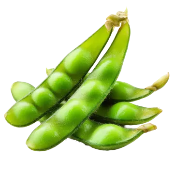 green beans on a white background
