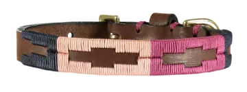 the pink and blue leather dog collar with brass hardware
