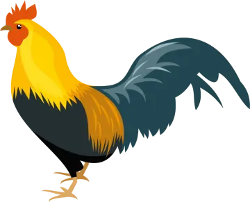 an illustration of a rooster
