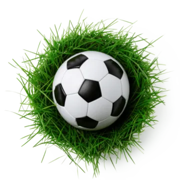 a soccer ball in the grass on a white background