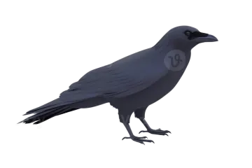 a 3d rendering of a raven bird