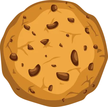 a chocolate chip cookie