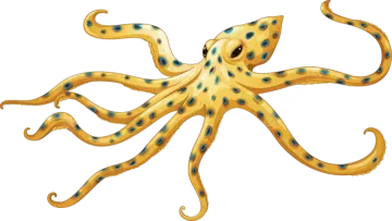 an octopus with blue spots on its tentacles