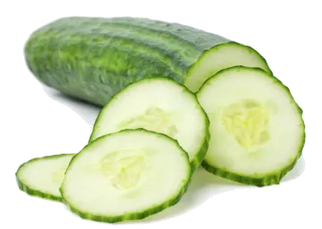 sliced cus on a white background